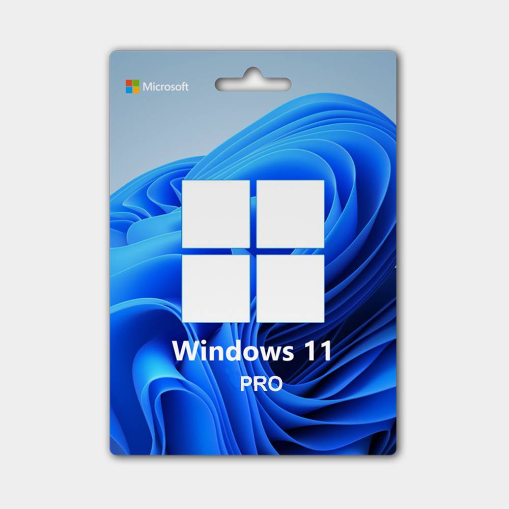 WIN 11 PRO